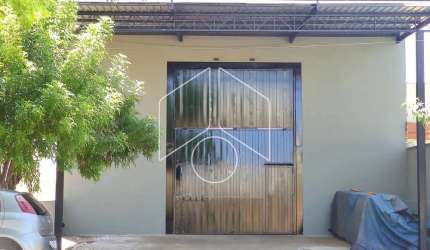 Comercial GalpãoBarracão em Marília