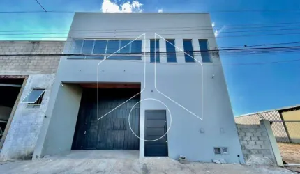 Comercial GalpãoBarracão em Marília