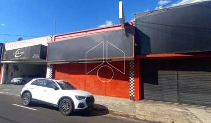 Comercial GalpãoBarracão em Marília