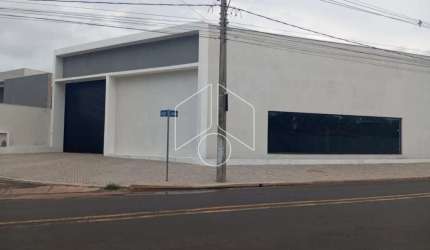 Comercial GalpãoBarracão em Marília