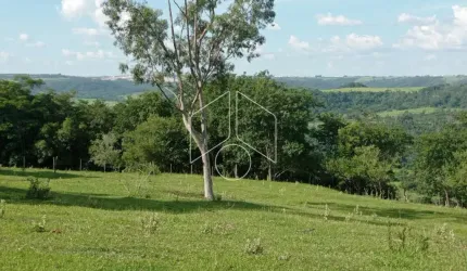 Rural SítioFazenda em Marília