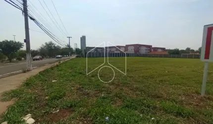 Terreno Área em Marília