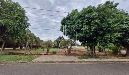 Terreno Área em Marília