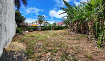 Lote - Jardim Marília