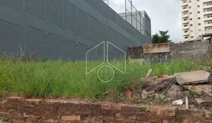 Terreno/Fora de Condomínio - Comercial - No bairro Saliola