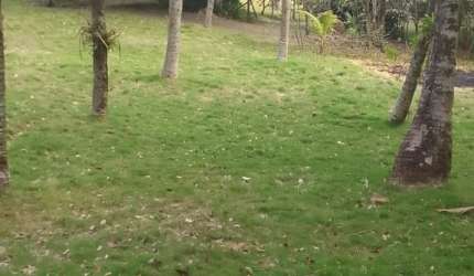 Excelente casa