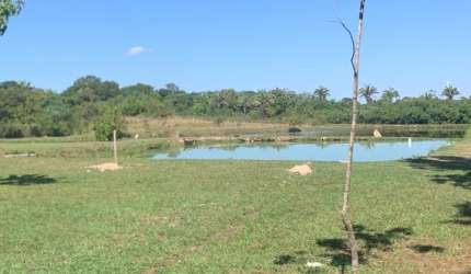 lindo sitio a venda no pasccoal ramos cuiabá