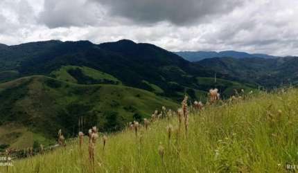 TERRENO ALTO DO RONCADOR