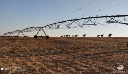 FAZENDA IMPERDÍVEL COM ÓTIMA ESTRUTURA EM CAMPO ALEGRE/GO