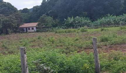 FAZENDA IMPERDÍVEL COM BOA LOCALIZAÇÃO.