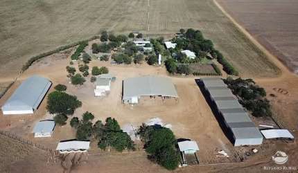 FAZENDA COM ÓTIMA INFRAESTRUTURA - REGIÃO DE CAMPO NOVO DOS PARECIS/MT