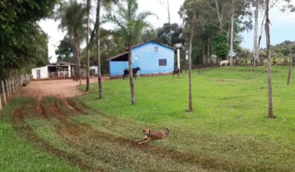CHÁCARA COM CASA E REPRESA EM UBERLÂNDIA/MG