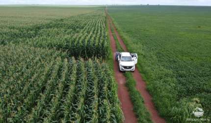 FAZENDA COM BOA ESTRUTURA AS MARGENS DO RIO TOCANTINS.