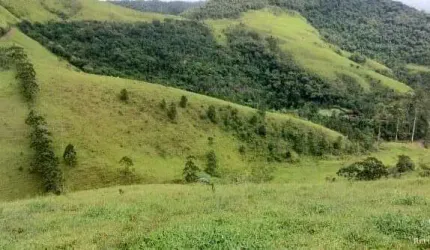 TERRENO EM SÃO FRANCISCO XAVIER COM LINDA VISTA, NASCENTES E CACHOEIRA