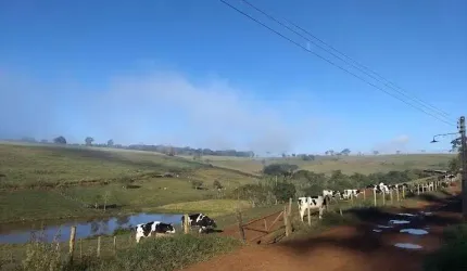 FAZENDA DE LATICÍNIOS E SUINICULTURA EM SÃO LOURENÇO - MG