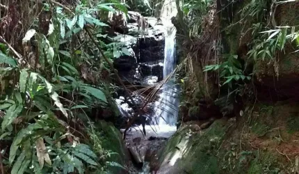 SÍTIO EM CAÇAPAVA SP COM QUEDAS D'ÁGUA E MUITA MATA (IDEAL PARA CHALÉS)