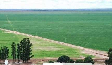 FAZENDA COM ÓTIMA ESTRUTURA EM COCOS/BA- IMPERDÍVEL!