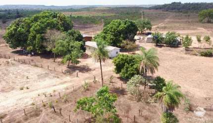 FAZENDA NA REGIÃO DE ARAGUAÍNA -TO - PRÓXIMO AO RIO TOCANTINS