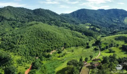 FAZENDA EM PIRACAIA COM VÁRIAS NASCENTES E MUITO EUCALIPTO
