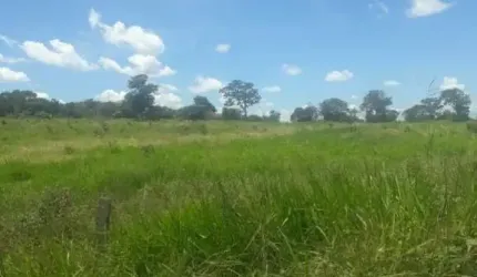 FAZENDA EXTRA EM IVOLÂNDIA/ GO