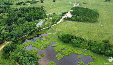 FAZENDA EXCELENTE EM NOVO PROGRESSO/PA