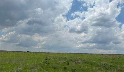 FAZENDA IMPERDÍVEL EM SÃO LOURENÇO DE FÁTIMA/MT