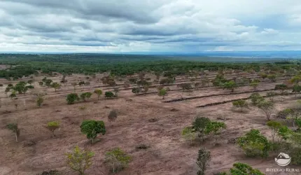 FAZENDA INCRÍVEL COM 850 HECTARES EM RIO NEGRO/MS