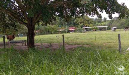 FAZENDA IMPERDÍVEL EM NOVA AMÉRICA/GO