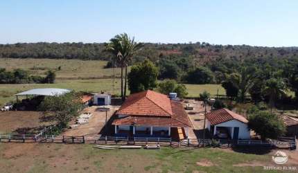 FAZENDA IMPERDÍVEL COM ÓTIMA ESTRUTURA EM APARECIDA DO TABOADO/MS