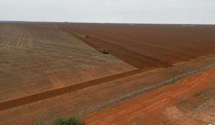 FAZENDA COM ÓTIMA ESTRUTURA EM CAMPO NOVO DO PERECIS/MT