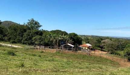 FAZENDA INCRÍVEL IDEAL PARA CRIAÇÃO DE GADO EM PARACATU/MG