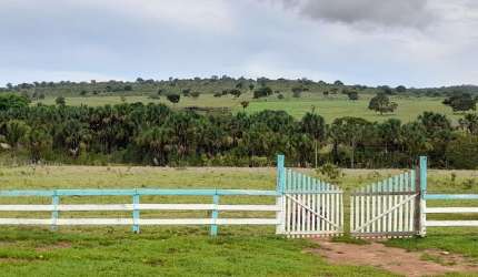 FAZENDA INCRÍVEL EM MINAÇU/GO