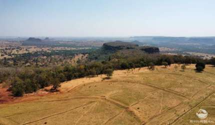 FAZENDA INCRÍVEL EM FIGUEIRÃO/MS