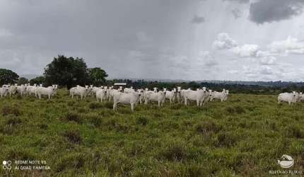 FAZENDA IMPERDÍVEL À VENDA (PORTEIRA FECHADA) - BANDEIRANTES/TO