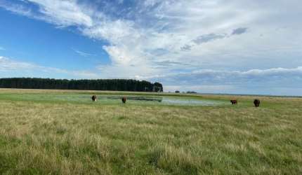 FAZENDA IMPERDÍVEL NO URUGUAI