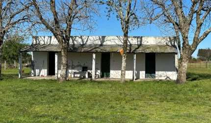 FAZENDA INCRÍVEL NO URUGUAI