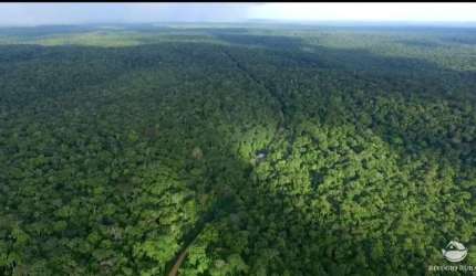 FAZENDA ESPETACULAR EM PAUINI/AM