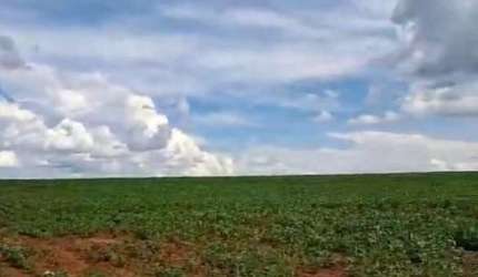 FAZENDA EM MORRINHOS/GO - EXCELENTE OPORTUNIDADE DE INVESTIMENTO