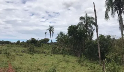 FAZENDA INCRÍVEL EM FIGUEIRÃO/MS