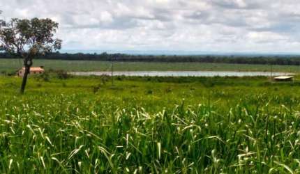 FAZENDA EXCELENTE EM PARACATU/MG