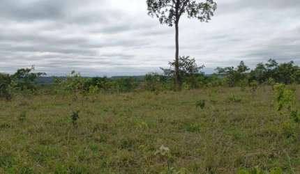 FAZENDA INCRÍVEL EM CAMAPUÃ/MS - EXCELENTE OPORTUNIDADE DE INVESTIMENTO!