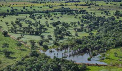 FAZENDA EXCELENTE COM ÓTIMA INFRAESTRUTURA EM RIBAS DO RIO PARDO/MS