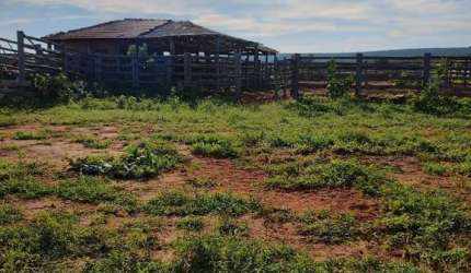 FAZENDA EXCELENTE EM JAÍBA/MG