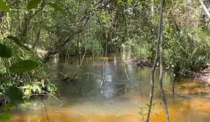 FAZENDA EXCELENTE EM GRAJAÚ/MA