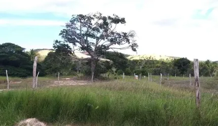 Lote à venda em rua pública, CAUEIRA, Itaporanga d'Ajuda, SE