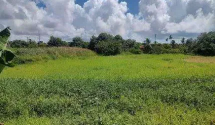 Lote à venda em rua pública, ROBALO, Aracaju, SE