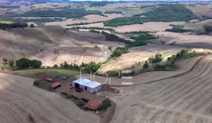 FAZENDA DE 116,5 ALQUEIRES EM APUCARANA – OPORTUNIDADE ÚNICA PARA INVESTIDORES E PRODUTORES RURAI