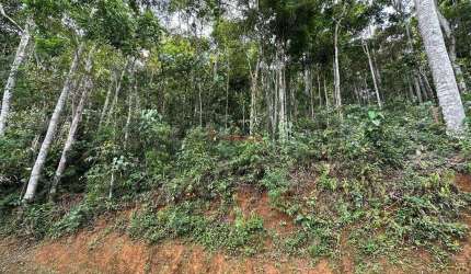 Terreno com 1.700 m² em condomínio no Parque do Imbuí - Teresópolis/RJ.