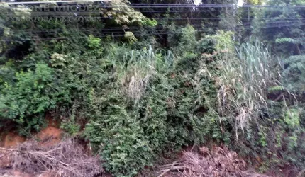 Terreno em Parque Barcellos  -  Paty do Alferes