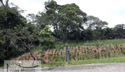 Terreno em Vale das Videiras - Petrópolis, RJ
